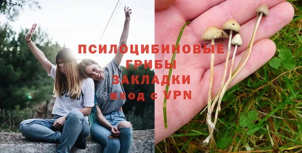 бошки Магадан
