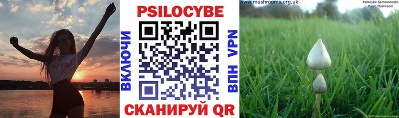 Галлюциногенные грибы MAGIC MUSHROOMS  Старый Крым 